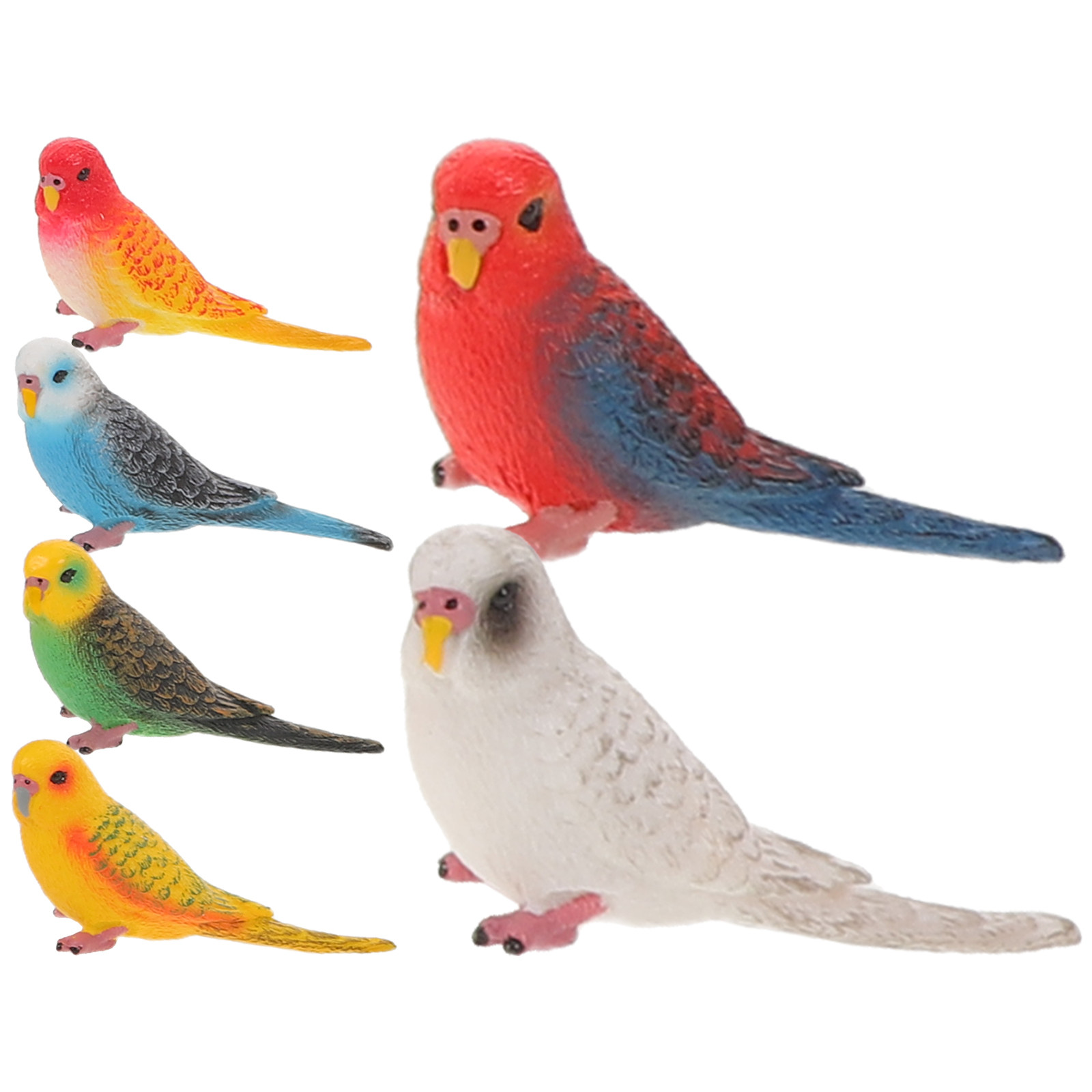 6個入り鮮やかでリアルなインコの装飾品、子供の教育学習環境や - Kids Education Room のレビューと価格