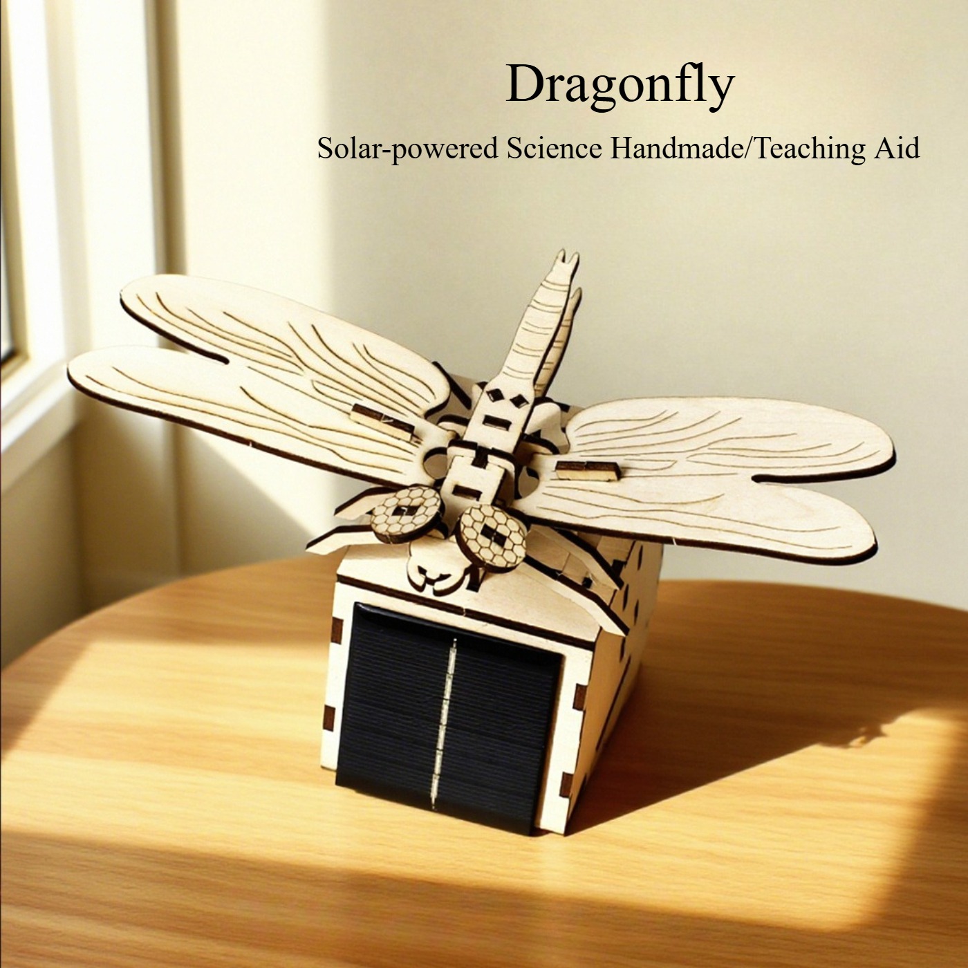木製キッズ教育玩具 DIY物理科学模型実験 手作り小型製品組 - Kids Education Allowance のレビューと価格